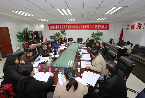 代表团分组审议各项工作报告 (2)