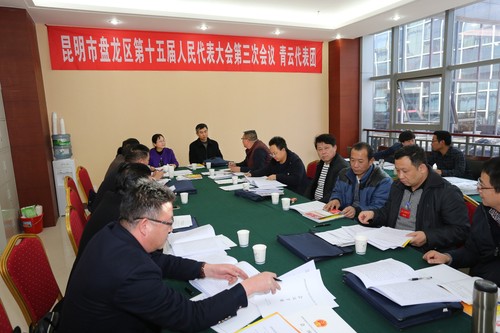 代表团分组审议各项工作报告