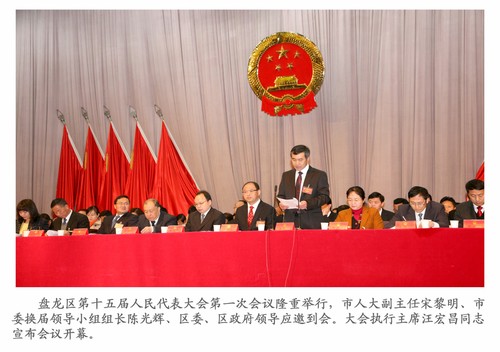 4十五届人大一次会议20130113