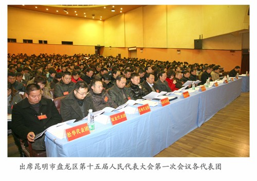 5十五届人大一次会议20130113
