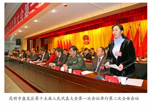 12全体会议20130115