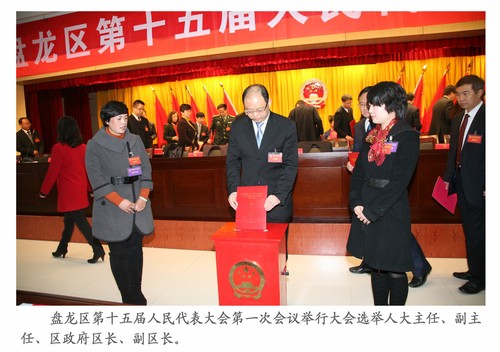 18选举大会20130117