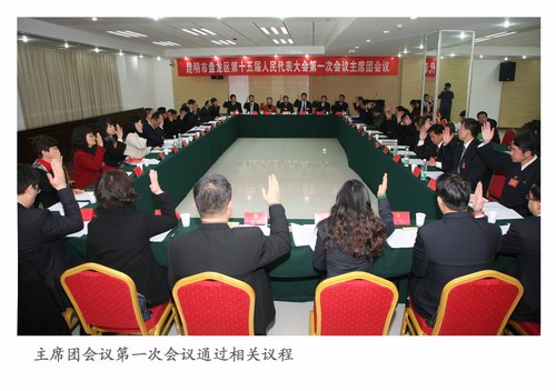 22主席团会议20130113