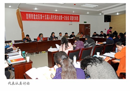 28联盟代表团讨论20130114