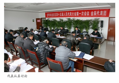 29金辰代表团讨论20130114