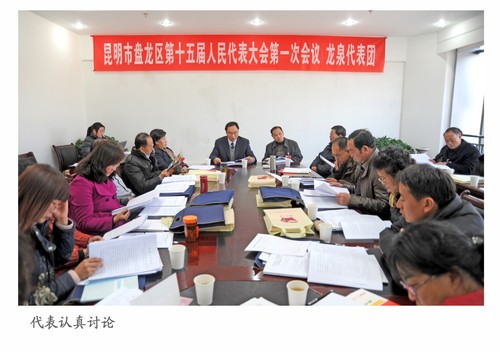31龙泉代表团讨论20130114