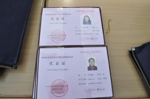 44代表证20130113